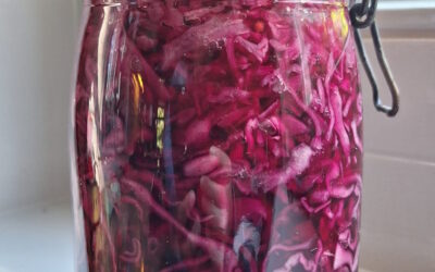 Rodekool met appeltjes